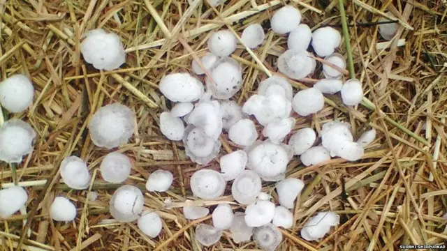 गारा