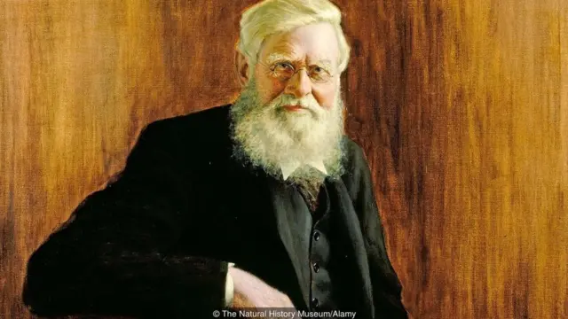 Alfred Russel Wallace