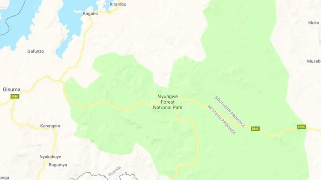 MRCD linadaiwa kuwa ngome yake kwenye msitu wa Nyungwe