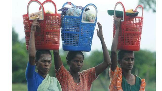 මයිමූන්