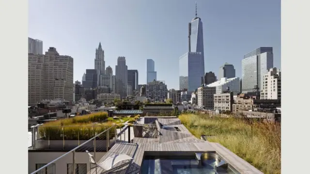 Jardines de Penthouses, Nueva York
