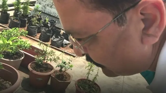 श्रीनिवास घाणेकर