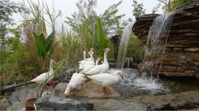 Bhavya Dore