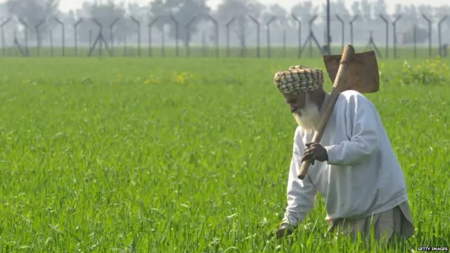 ਖੇਤੀਬਾੜੀ