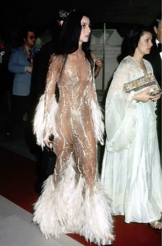 Співачка Шер на Met Gala, 1974 рік