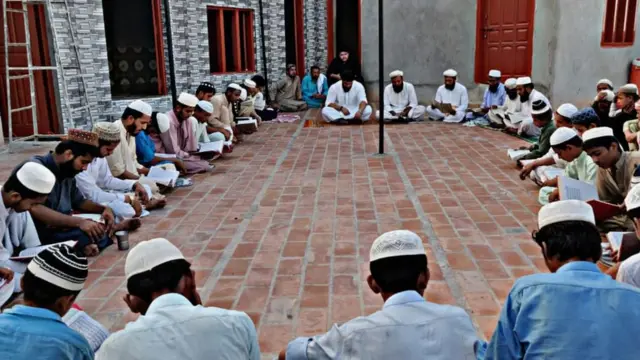 شفقت اور سنبل