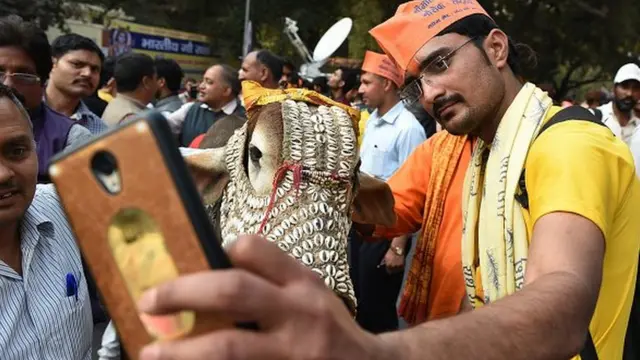 பசுமாட்டு அரசியல்