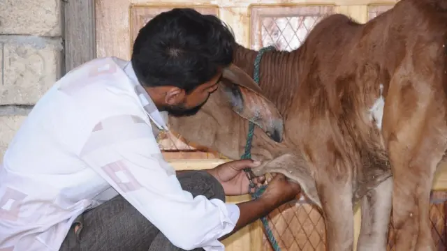 దళితులు