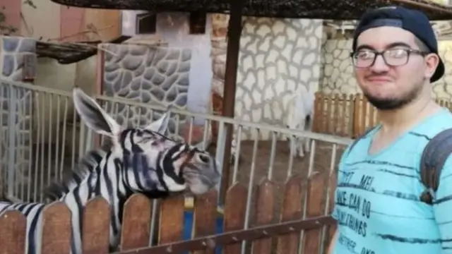 Студент в парку Каїра поруч із зеброю, схожою на віслюка