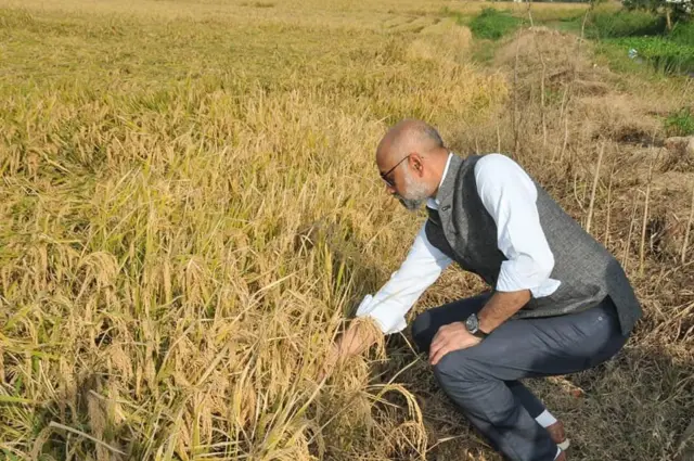 గల్లా జయదేవ్