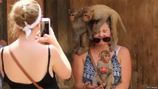 కోతుల సమస్య (ప్రతీకాత్మక చిత్రం)