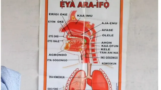 AdedokunRonke lori akomolede