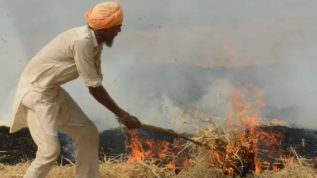 ખેત કચરો સળગાવી રહેલા ખેડૂતની તસવીર