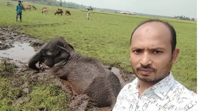 এভাবেই আটকে ছিলো হাতিটি।