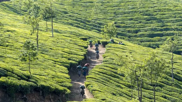 உயிரினங்களைக் காப்பாற்ற இந்தியா போதிய நடவடிக்கைகள் எடுக்கிறதா?