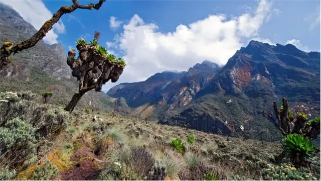 Autrefois considérées comme la source du Nil, les montagnes Rwenzori en Ouganda ont été baptisées "Montagnes de la Lune" par Ptolémée
