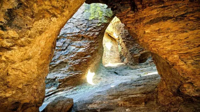 （图片来源：Zack Frank）