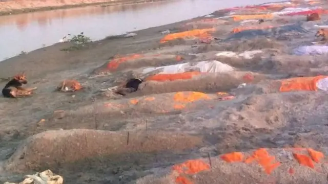 புதைக்கப்பட்டுள்ள உடல்கள்