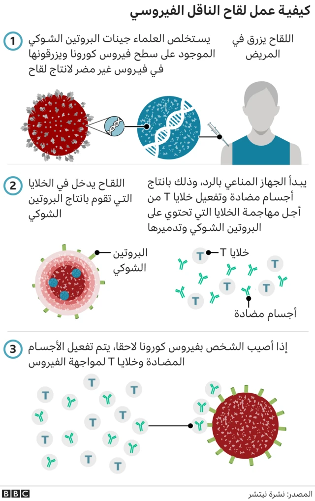 لقاح الناقل الفيروسي