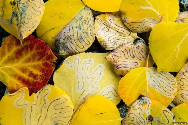 ఫొటోగ్రఫీ ఆఫ్ ద ఇయర్ 2018