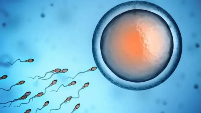 Cara Brett porno Video onamni ushladi