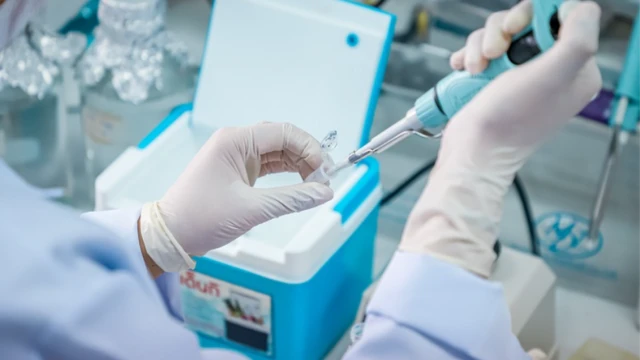 ทดลองมณีแดงในหนู หมู ลิง แล้ว