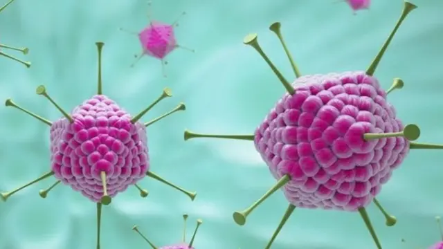 கொரோனா வைரஸ்