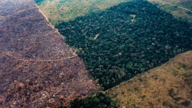 Áreareal bet bonus de cadastromata cercada por áreas já desmatadas na Amazônia