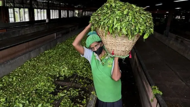 Human Rights - Sri Lanka