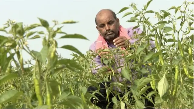 ভিজেন্দ্র তাদভী