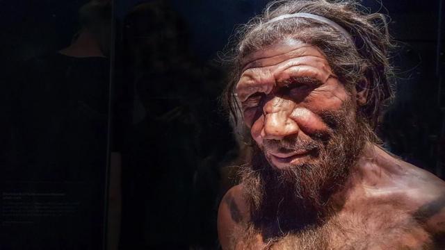 Un Néandertalien