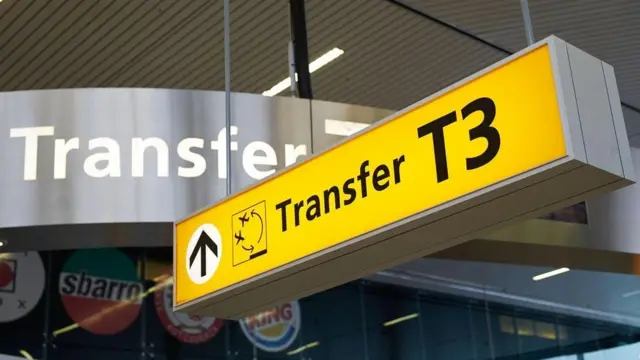 स्किपलैगिंग