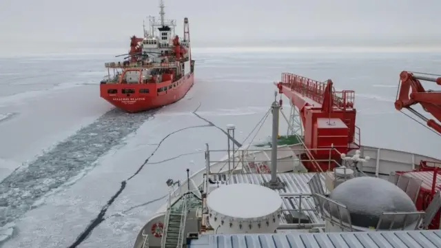 आर्कटिक