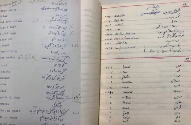 گنجینه افغانستان