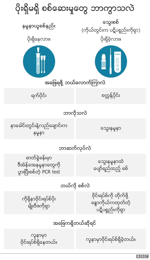 ဗိုင်းရပ်စ်စစ်ဆေးပုံနှစ်မျိုး