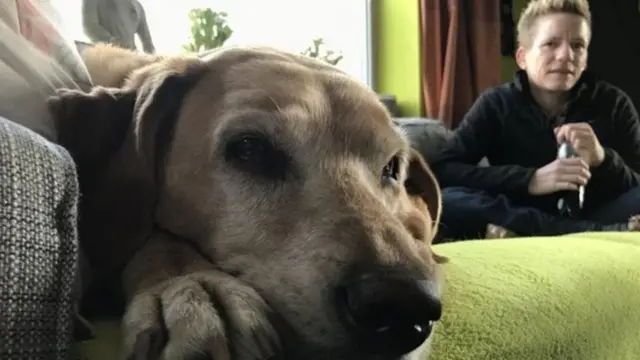 லபிராடர் செண் என்ற நாயின் உதவியோடு மாரீகே வெர்வோர்ட் வாழ்ந்து வந்தார்.