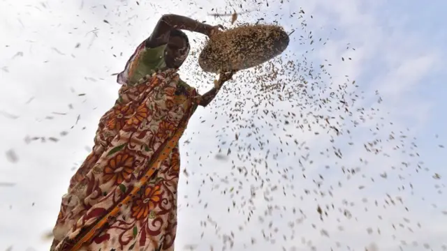 પ્રતીકાત્મક તસવીર