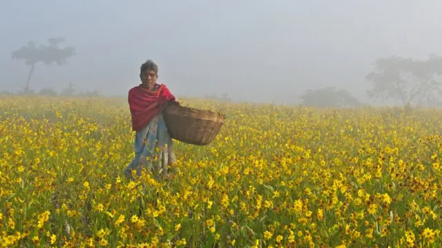 மோகனகிருக்ஷ்ணன்