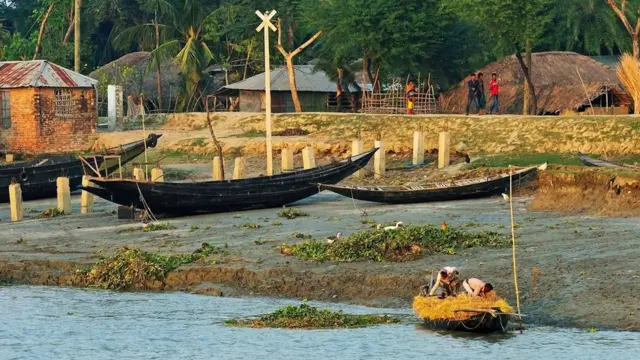 بنگال کے آدم خور شیر