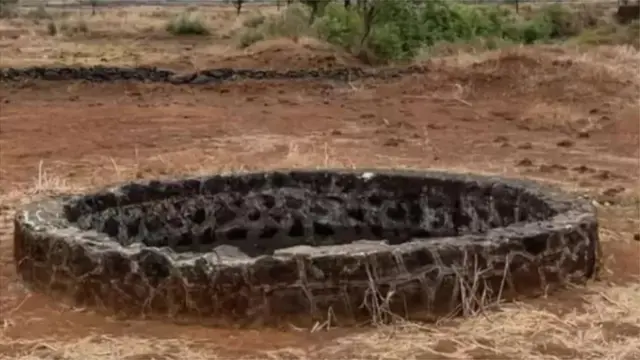 પ્રતીકાત્મક તસવીર