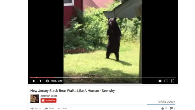 Vídeo de Pedals no YouTube