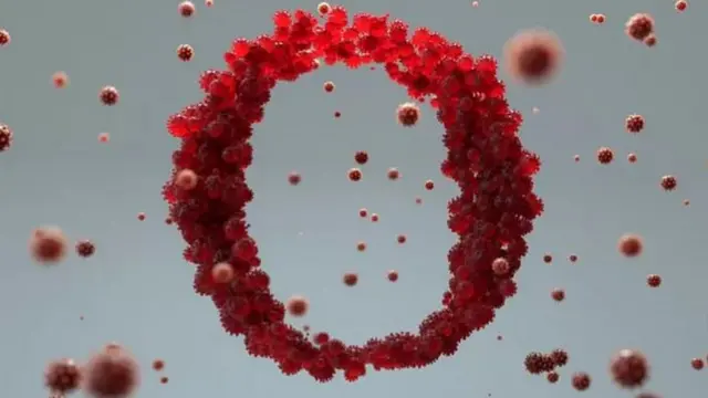 પ્રતીકાત્મક તસવીર