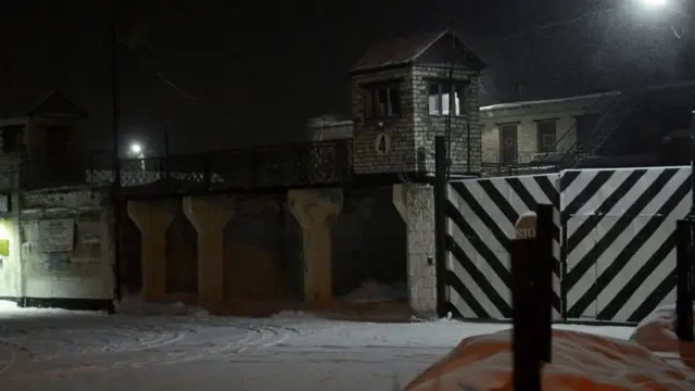 Колония ИК-7, где сидел Дадин