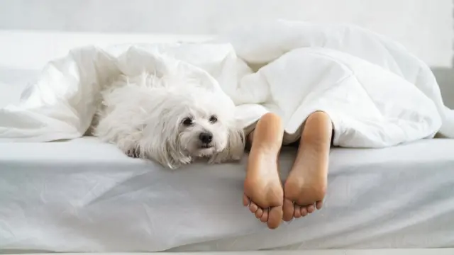 Single person with a dog