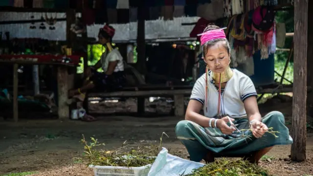 ชนเผ่ากะเหรี่ยงคอยาว