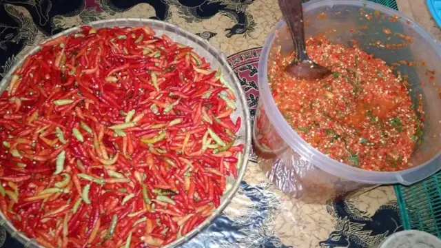 sambal luat