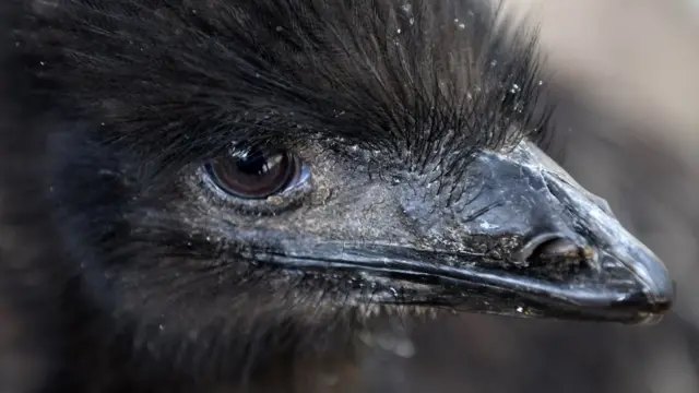 বাংলাদেশ