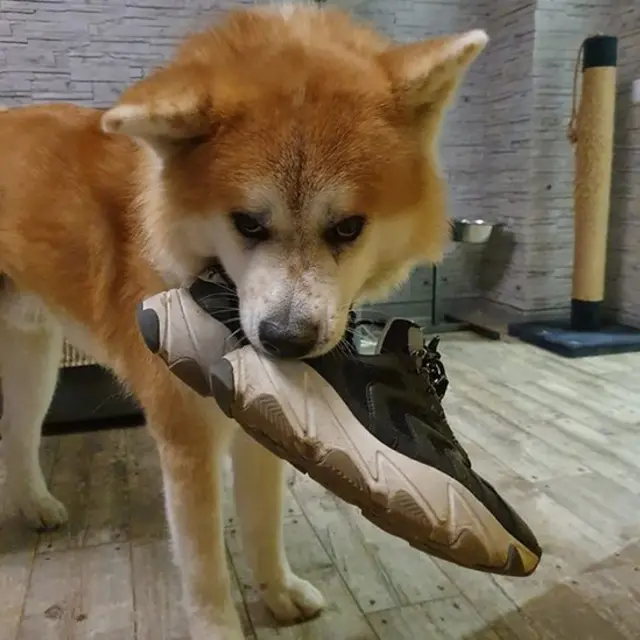 Мен Мәскеуде жезөкше алғым келеді