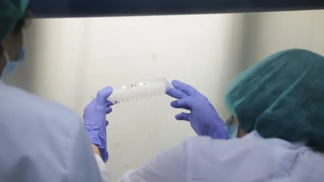 အခုတွေ့ရှိတဲ့ ကိုဗစ်ပိုးသစ်က ကူးစက်ပျံ့နှံမှုနှုန်းအရင်ထက် ပိုမြန်ဆန်ပျံ့နှံ့လွယ်တယ်လို့ ဆိုပါတယ်။