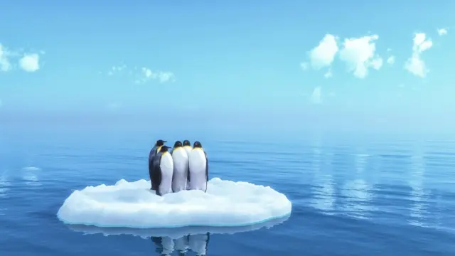 Pingüinos varados en un bloque de hielo.